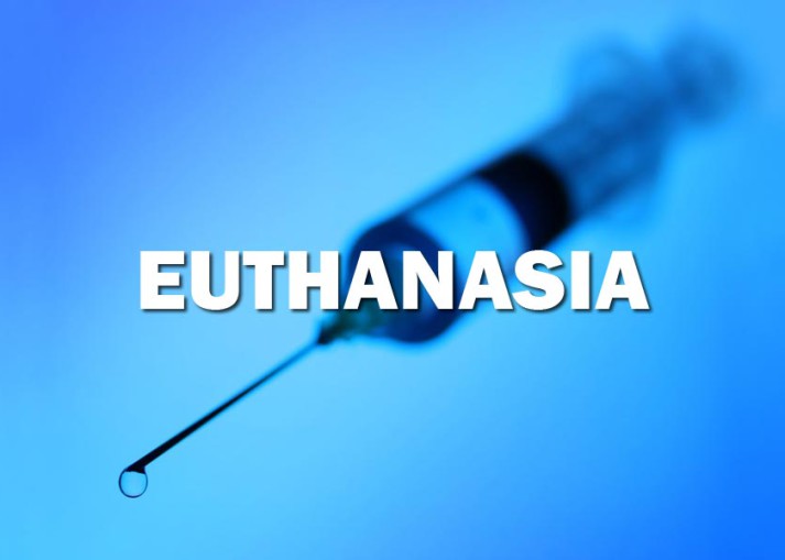 Euthanasia essay against be legalized