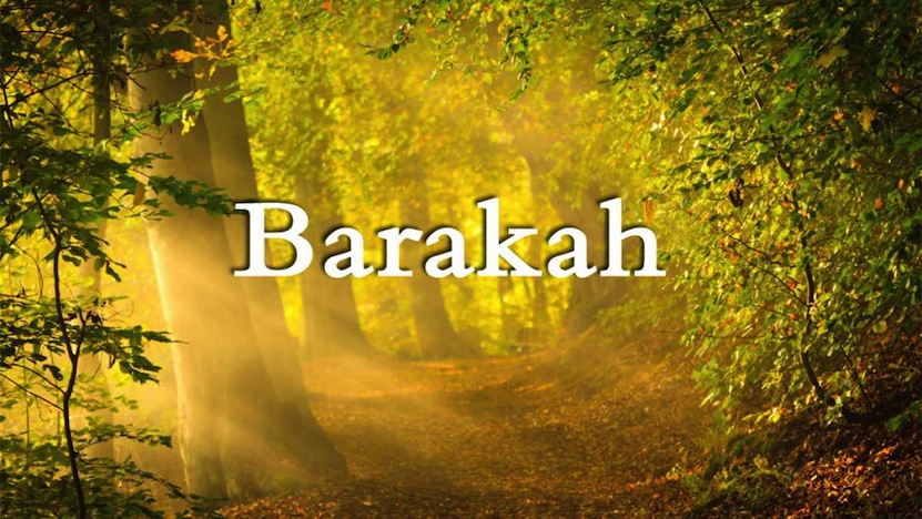 Long-term Good- Barakah in the Light of Qur'an & Sunnah