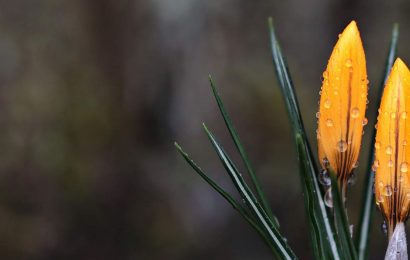 Heal Your Soul with Spiritual Posts