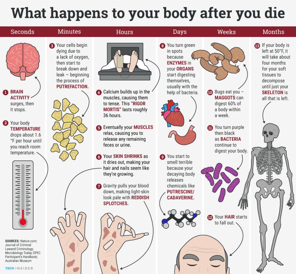 What Happens After Death in Islam, Blog