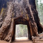 Yosemite National Park - About Islam