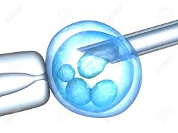 Artificial Insemination