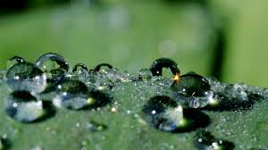 Will Swallowing Drops of Rain Invalidate Fasting?