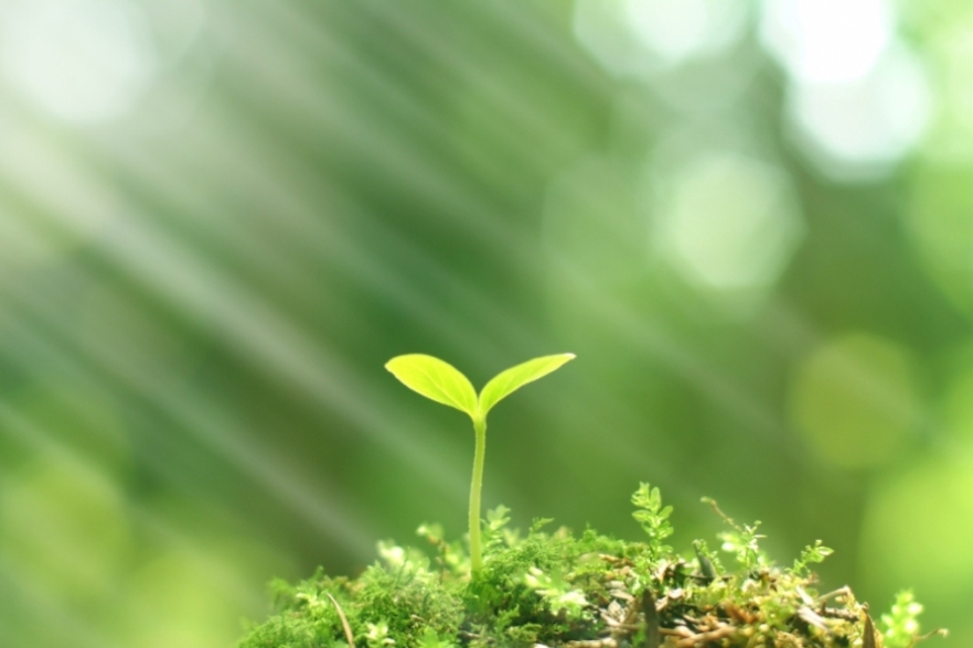 Importance of Intentions in the Revival of Hearts