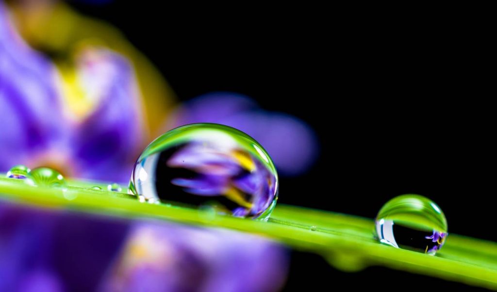 How to Attain a Tranquil Soul?