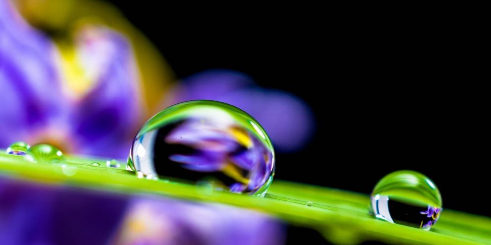 How to Attain a Tranquil Soul?