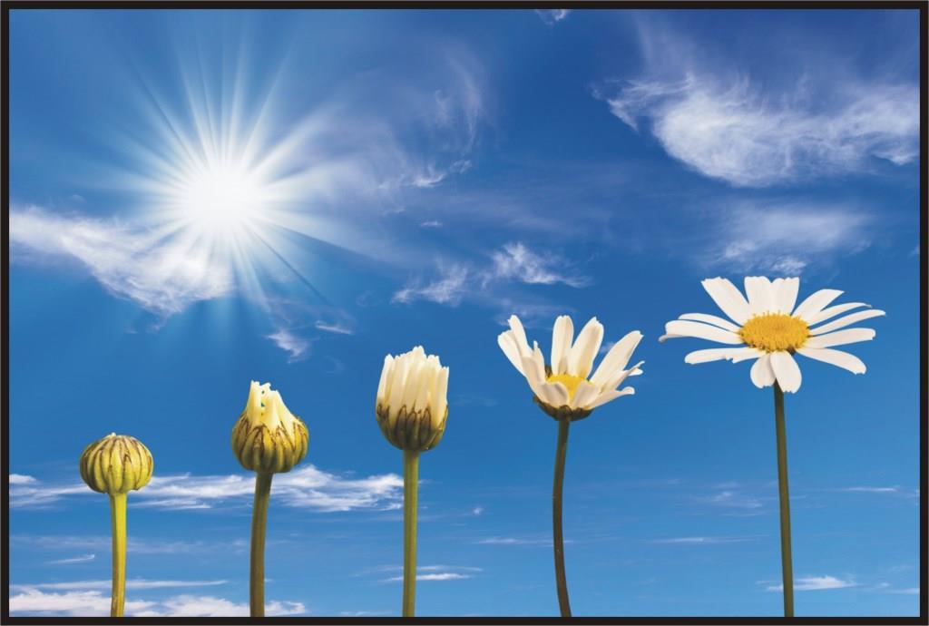 Is Human Spiritual Evolution Possible?