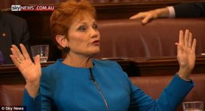 Pauline Hanson Created Culture of Fear, Muslim Revert_1