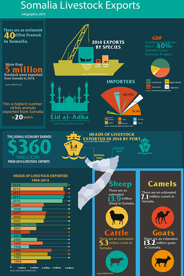 Somalia Provides Millions of Udhiyah Livestock for Hajj - About Islam