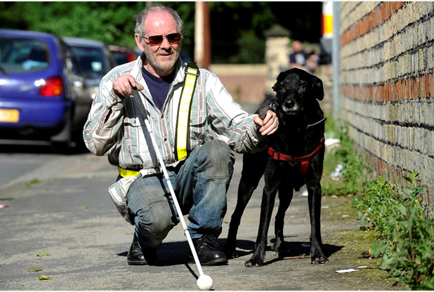 Can Guide-Dogs Enter the Mosque?