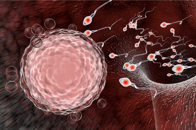 Is Freezing Unfertilized Eggs for Future Use Permissible?