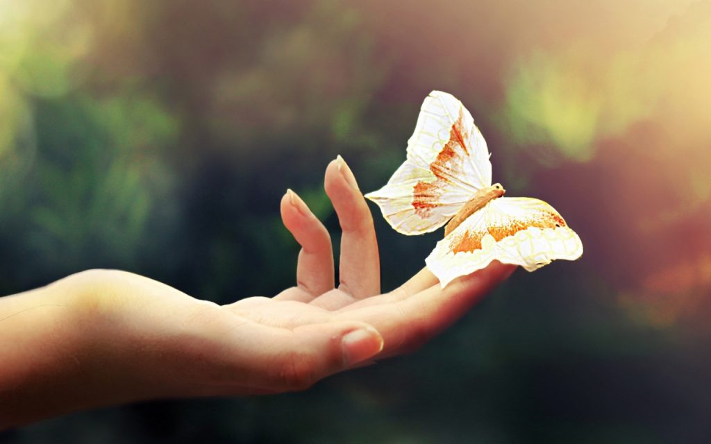 butterfly-flying-away-from-hands-wallpaper-2