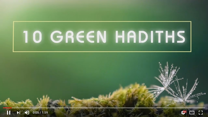 10 Green Hadiths (Video)