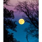 2016's Closest Supermoon - About Islam