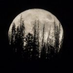 2016's Closest Supermoon - About Islam