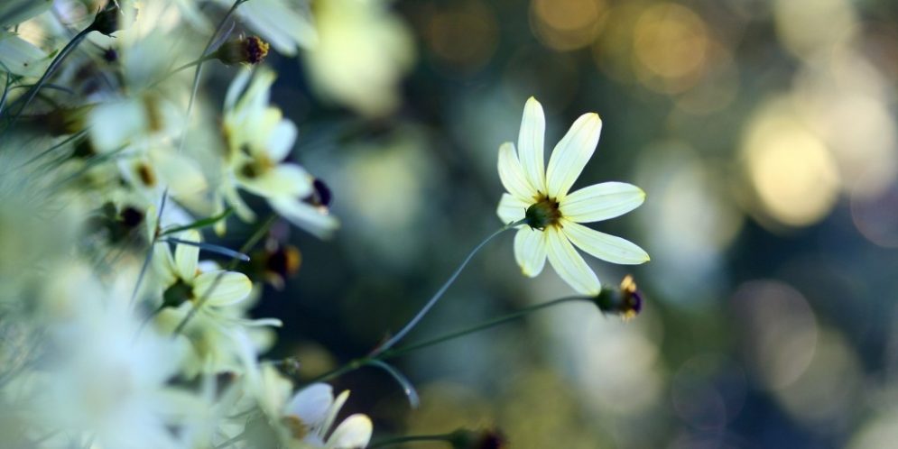 Is Prophet Muhammad Not Human?