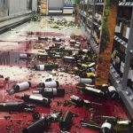 New Zealand Struck by Powerful Earthquake - About Islam