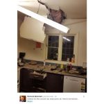 New Zealand Struck by Powerful Earthquake - About Islam