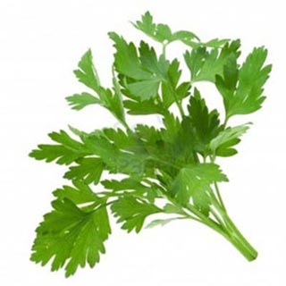 Parsley: Herbal Multivitamin? - About Islam