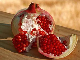 Plants of Qur'an (Part 3): Pomegranate - About Islam