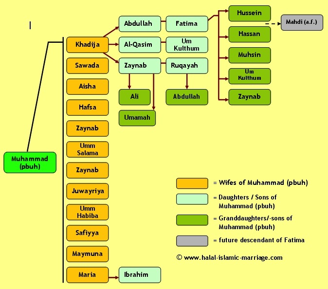 prophet muhammad wives family tree