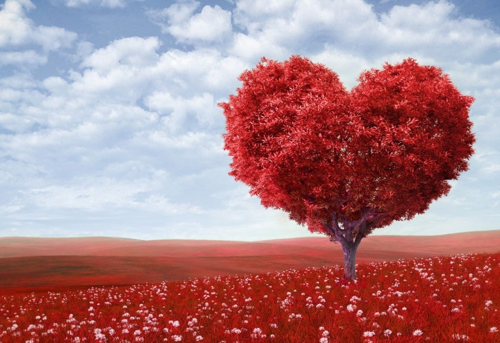 love-valentine-astounding-love-tree-wallpaper-2013-728x500