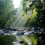 Endau-Rompin National Park in Malaysia - About Islam