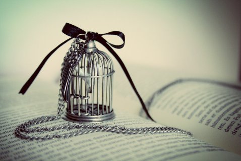 Imprisoned By My Husband