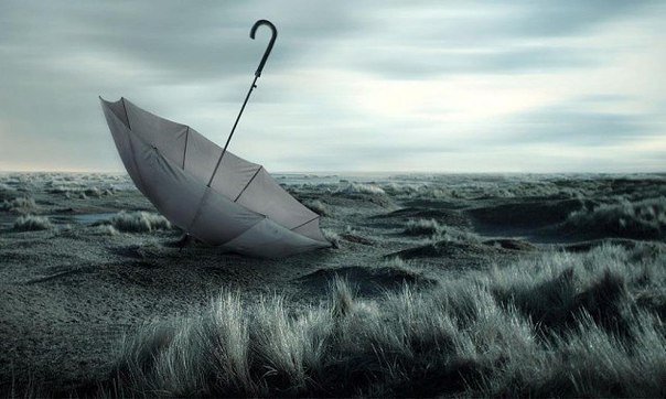 Hopeless Husband After One Year