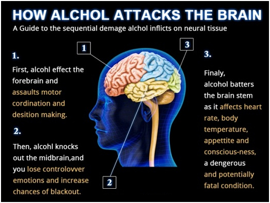 New Year Without Alcoholism - About Islam