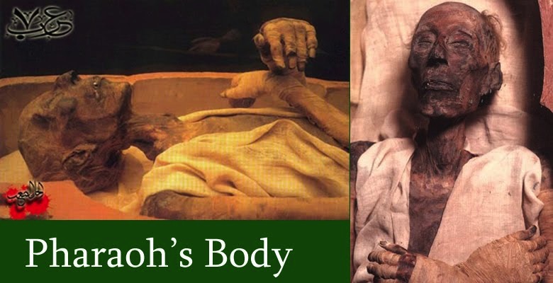 Pharaoh's body