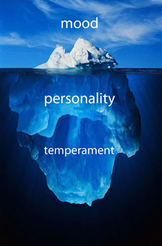 Physical Characteristics of Temperament - About Islam