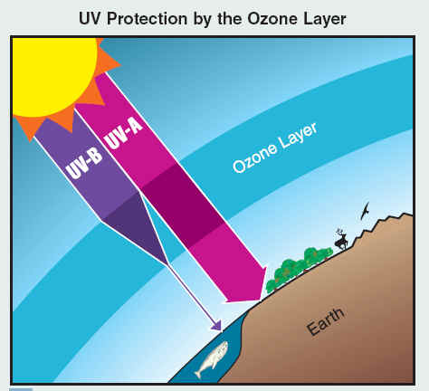 Recovering God’s Balance: Healing Ozone - About Islam