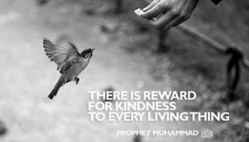 reward-for-kindness