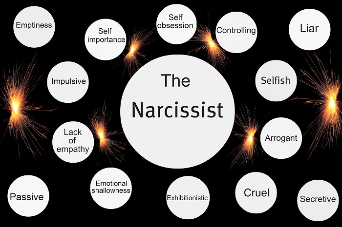 the new-narcissist