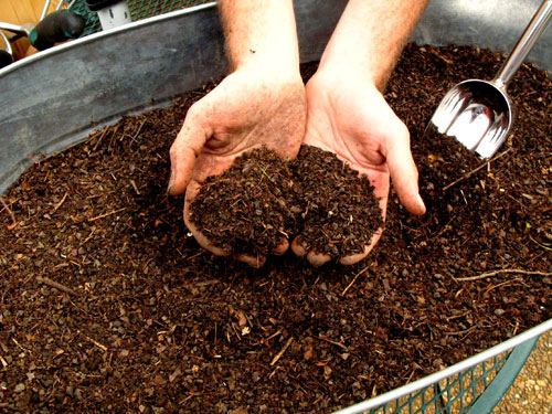 Compost Recycling of Life