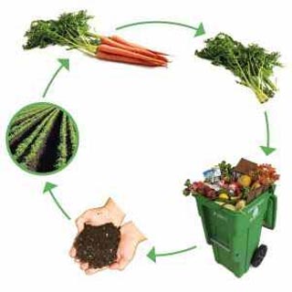 Compost, Recycling of Life