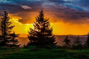 How Can I Get Rid of Fears and Doubts