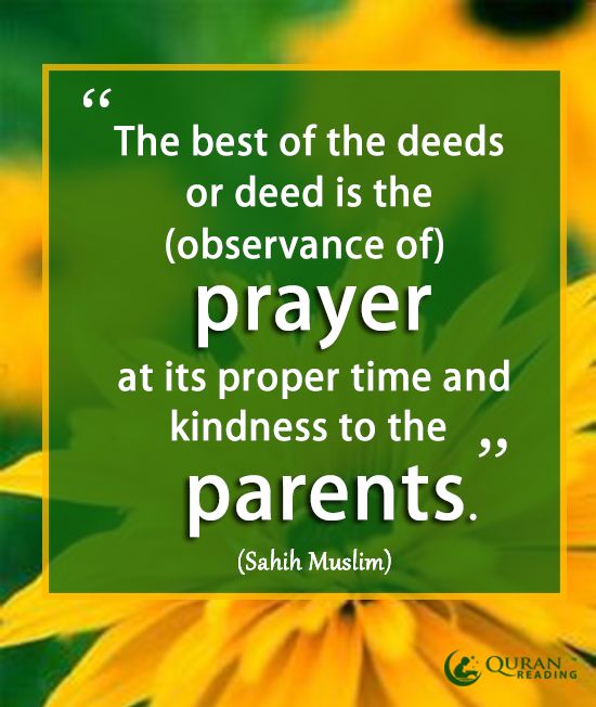 Kindness to parents