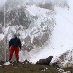 Remotest Island in the World, Bouvet Island - About Islam