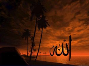 A Few Words About Allah- Basics of Islam folder