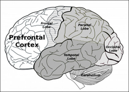 Analyzing Statuses of Brain during Prayers