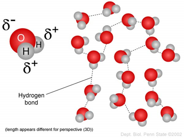 Birth of Hydrogen Bond- Part 1
