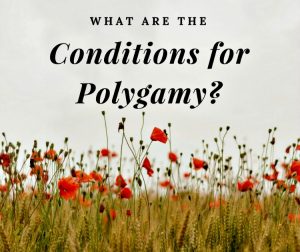 What Are The Conditions for Polygamy?