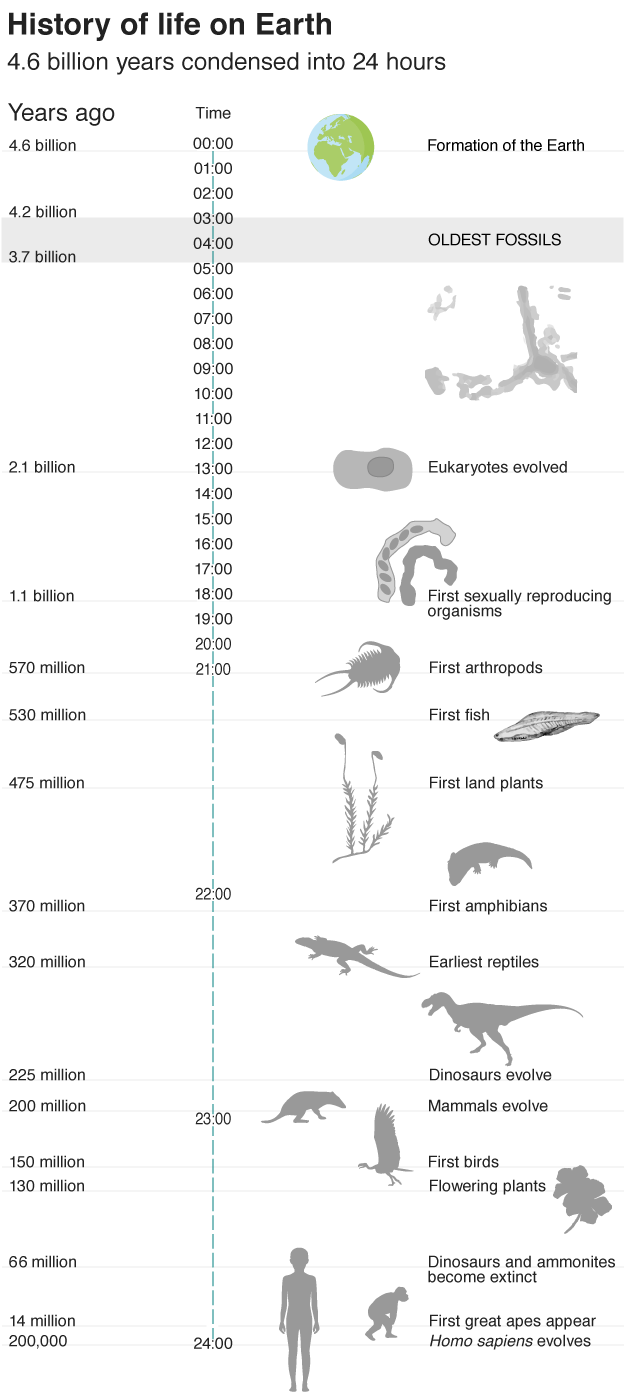 Have We Found Earliest Evidence of Life on Earth