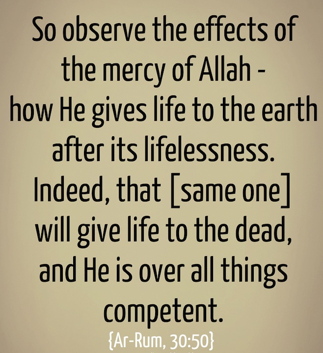 How will we Be Created Anew After we’re Bones and Dust? | About Islam