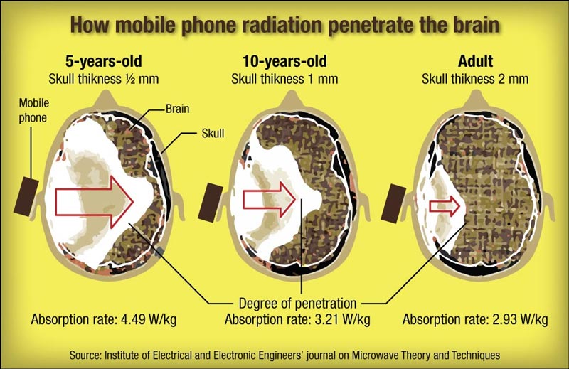 Endless Debate on Mobile Radiation