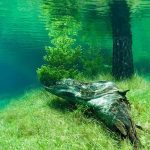 Styria Green Lake