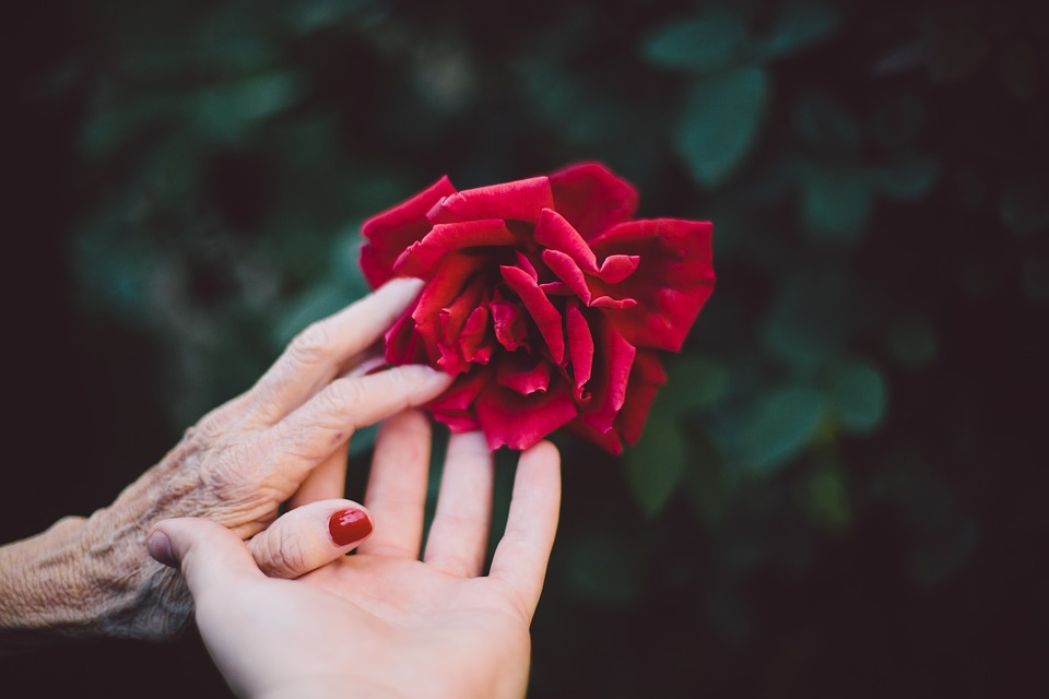 How to Take Care of My Abusive Elderly Mom?