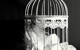 In the Cage of Marriage with an Uncaring Husband